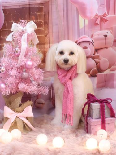 20241201風太郎くん